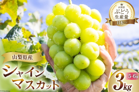 [2025年発送]シャインマスカット2025 予約 約 3kg 5〜 6房 山梨 山梨県産 厳選 フルーツ大国 山梨県 産地直送 フルーツ 果物 マスカット シャイン 2025 先行受付 先行予約 ブドウ ぶどう 葡萄 種無し 3キロ 3kg 数量限定 期間限定 [OUTTA REACH JAPAN 山梨県 韮崎市 20742971]
