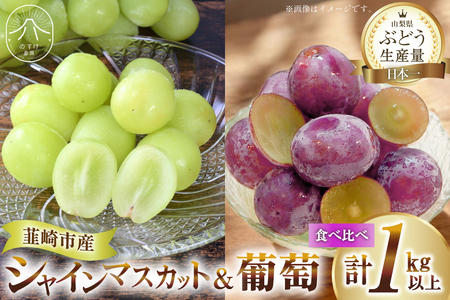 【期間限定発送】 シャインマスカット & 旬のおすすめ 葡萄 粒 計1kg以上 ぶどう ブドウ 葡萄 セット 詰め合わせ 果物 フルーツ シャイン マスカット 期間限定 季節限定 数量限定 山梨[のすけ農園 山梨県 韮崎市 20743052]