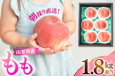 yԌ蔭z  R RY   1.8kg NS-1006 [B萉 R Bs 20743936]