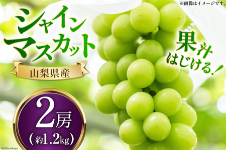 yԌ蔭z VC}XJbg 2025 \ 2[ 1.2kg VC }XJbg R RY  VC }XJbg t[c ʕ  Ԃǂ  uhE Y [؂Ԃǂ R