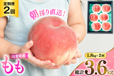 ystz R RY  2 1.8kg 2  NS-1014 [B萉 R Bs 20743072]