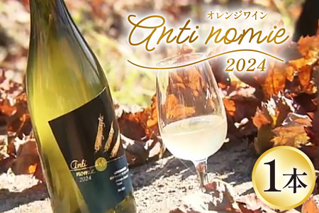ワイン 白 辛口 オレンジワイン Anti-nomie 2024 シャインマスカット 750ml 1本 シャインマスカット 2024年 ふるさと起業チャレンンジ オーディエンス賞 受賞 お酒 酒 シャイン マスカット 山梨 山梨 国産 洋酒 果実酒 [ドメーヌ・アサノハ 山梨県 韮崎市 20743906]