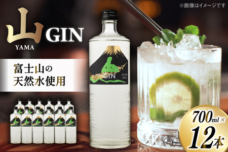 ジン 700ml×12本 1箱|スピリッツ JIN ソーダ割り GIN [サン.フーズ 山梨県 韮崎市 20743032]