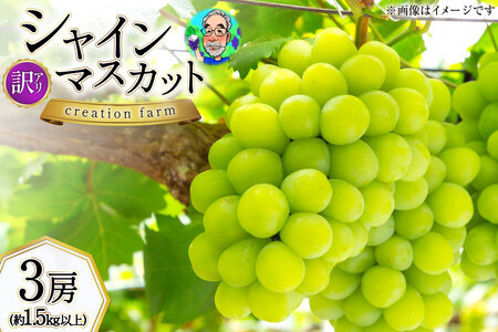 [2026年発送] 訳あり シャインマスカット 予約 朝採れ 3房 計 1.5kg以上 [Creation farm 山梨県 韮崎市 20744955]