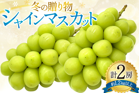 冬の贈り物★冬のシャインマスカット[600g以上×2房]約1.2kg以上 [元気農園 山梨県 韮崎市 20744952] シャイン マスカット フルーツ くだもの 果物 ぶどう 葡萄 ブドウ 山梨