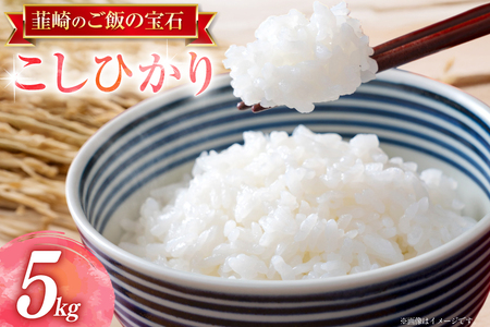 令和7年産 武川米コシヒカリ 5kg お米 米 こめ こしひかり 白米 kome 7年産 5キロ 精米 山梨県 送料無料 ライス ブランド米 コメ 人気 [駒井農園 山梨県 韮崎市 20745126]