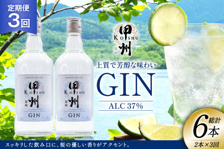 [定期便3回]甲州韮崎 ジン 700ml×2本 ジントニック ハイボール 甲州韮崎 ジン セット 酒 お酒 洋酒 地酒 スピリッツ 蒸留酒 国産 カクテル JIN ソーダ割り ソーダ アルコール 37% ボタニカル GIN ライム [株式会社マツムラ酒販 山梨県 韮崎市 20744986]