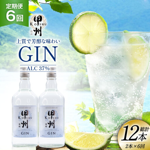 【定期便6回】甲州韮崎 ジン 700ml×2本  ハイボール スピリッツ 蒸留酒 国産 カクテル JIN ソーダ割り アルコール 37％ ボタニカル GIN ライム｜ [株式会社マツムラ酒販 山梨県 韮崎市 20744985]