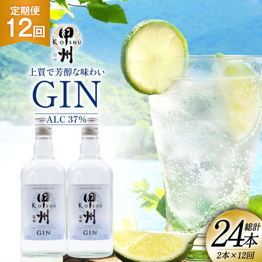 【定期便12回】甲州韮崎 ジン 700ml×2本 ハイボール スピリッツ 蒸留酒 国産 カクテル JIN ソーダ割り アルコール 37％ ボタニカル GIN ライム｜ [株式会社マツムラ酒販 山梨県 韮崎市 20744983]