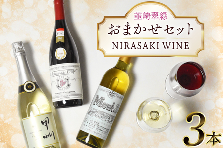 ワイン 山梨 韮崎市産ワイン おまかせ 3本 セット [韮崎翠緑 山梨県 韮崎市 20745301]