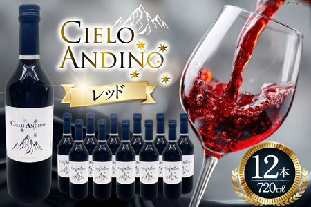 ワイン 赤 シエロアンディーノ・レッド 720ml 12本 セット [カサ・ピノ・ジャパン 山梨県 韮崎市 20745347]