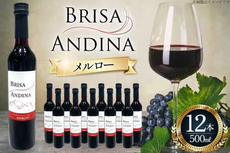 ワイン 赤 ブリサ・アンディーナ メルロー 500ml 12本 セット [カサ・ピノ・ジャパン 山梨県 韮崎市 20745346]