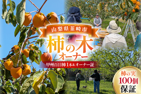 柿の木オーナー 韮崎大村財団柿の木オーナー [一般財団法人韮崎大村財団 山梨県 韮崎市 20745389]