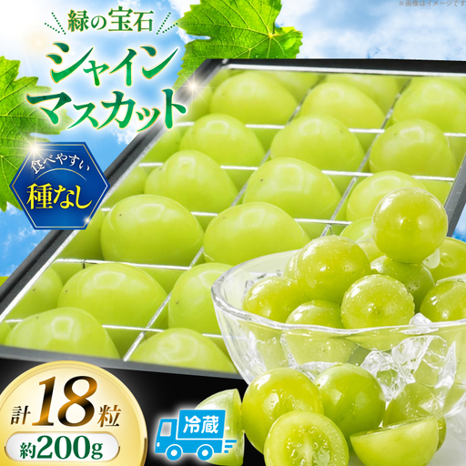 [2026年発送] シャインマスカット 先行予約 ひと口 BOX 18粒入り 約 200g