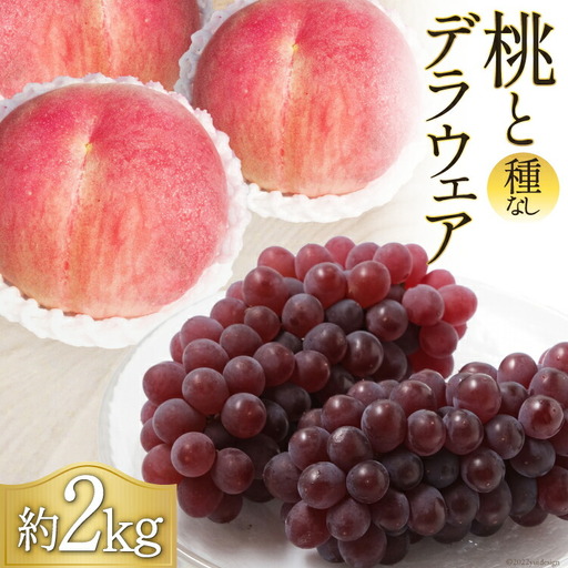 もも 3玉 & 種なし デラウェア 5〜6房 合計 約 2kg [2026年発送] [7月下旬〜8月上旬出荷] [フルーツランド平賀 山梨県 韮崎市 20742842]