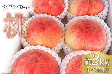 [2025年発送] 桃 山梨 5〜6玉 約 2kg[7月後半〜8月前半出荷]モモ もも 果物 フルーツ 2キロ 山梨県産 産地直送 季節限定 期間限定 冷蔵 [フルーツランド平賀 山梨県 韮崎市 20742841]