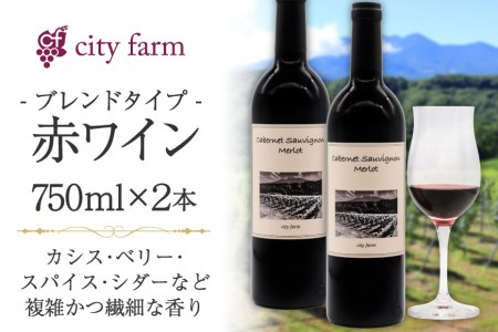 ワイン 赤 ブレンド ボルドー品種 ミディアムボディ 750ml×2本 お酒 / city farm / 山梨県 韮崎市