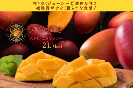 完熟 マンゴー 「天空の輝き」 2L 1個 アップルマンゴー / 採園 / 山梨県 韮崎市