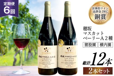 [定期便6回]赤ワイン 穂坂マスカット・ベーリーA シングル・ヴィンヤード 750ml 2種 アルコール度 12%[シャトー・メルシャン 勝沼ワイナリー 山梨県 韮崎市 20743313]