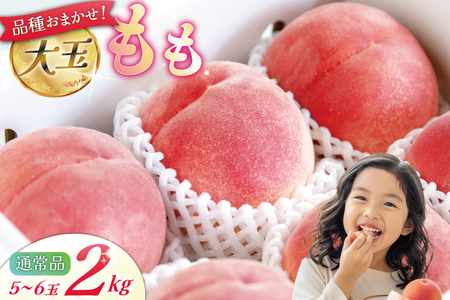 �y2026�N�����z �� �R�� ��� 5�`6�� �� 2kg���� ���� 2�L�� �ʕ� �t���[�c �������� �ʎ� ���̂� ���ǂ� �{ �G�ߌ��� ���Ԍ��� ���ʌ��� �① ��ʓ� �f�U�[�g �_������ �Y�n���� �W���[�V�[ ��