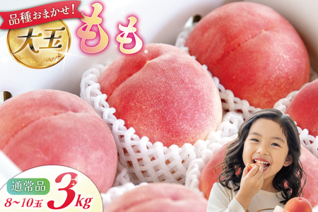 �y2026�N�����z �� �R�� ��� 8�`10�� �� 3kg ���� ���� 3�L�� �ʕ� �t���[�c �������� �ʎ� ���̂� ���ǂ� �{ �G�ߌ��� ���Ԍ��� ���ʌ��� �① ��ʓ� �f�U�[�g �_���Y�� �Y�n���� �W���[�V�[