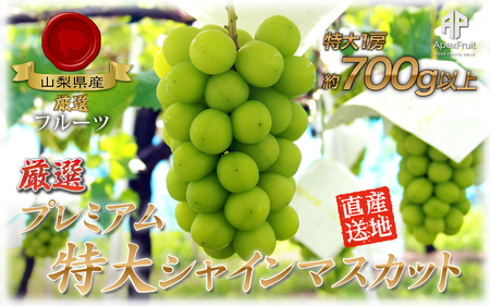 厳選!旬の味覚 南アルプス市産 プレミアム特大シャインマスカット 700g以上 1房