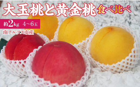 [25年発送先行予約]南アルプス市産 大玉の桃と黄金桃の食べ比べセット 約2kg(4〜6玉) AL