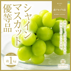 [2025年発送分先行予約]山梨県南アルプス市産シャインマスカット 優等品 約1kg 2〜3房 AL