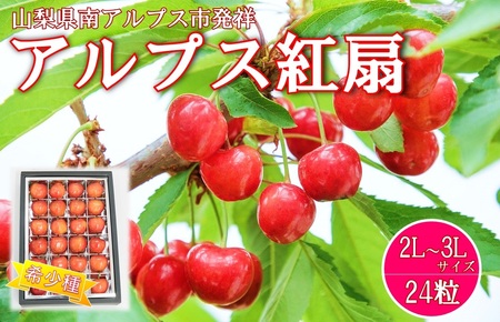 [2025年/令和7年発送先行予約]さくらんぼ 希少品種 「アルプス紅扇」24粒入り AL