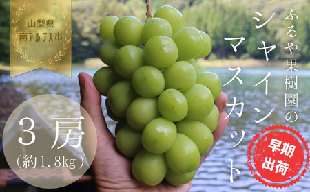 yߘa8NEs\znEX͔|@AvXsYVC}XJbg(3[E1.8kg)^SňĂn̕΁Iyoׁz ALPDX004