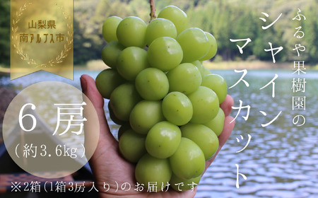 yߘa8NEs\zAvXsYVC}XJbg(6[E3.6kg)^SňĂn̕΁I ALPDX001