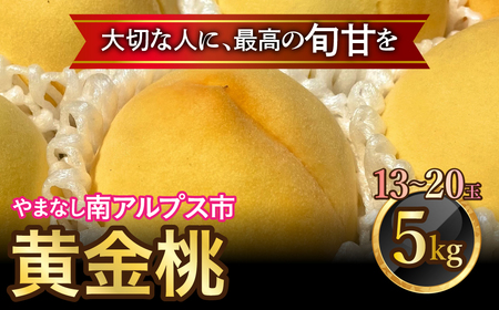 [2025年発送分先行予約]山梨県南アルプス市産 高糖度 黄金桃 [約5kg 13〜20玉] AL