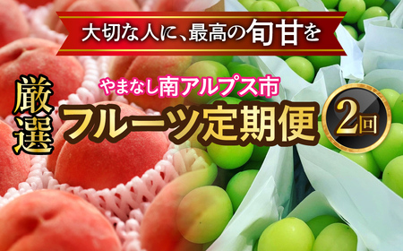 [2025年発送分先行予約]フルーツギフト専門店が選ぶ南アルプスの厳選フルーツ定期便 全2品種(桃・シャインマスカット) AL