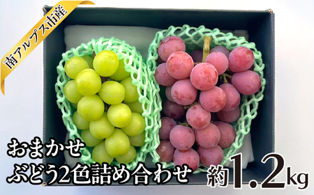 [25年発送先行予約]おまかせ ぶどう2色詰め合わせ約1.2kg AL