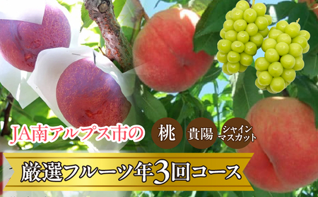 [2025年/令和7年発送先行予約]JA南アルプス市厳選フルーツ年3回コース AL