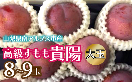 [2026年発送先行予約]高級すもも「貴陽」大玉8-9玉 AL