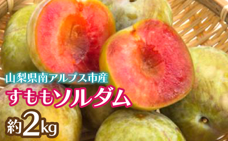 2026Ns\񁄂\_2kg ALPCZ004