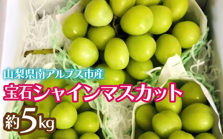 2026Ns\񁄊n ΃VC}XJbg5kg ALPCZ006