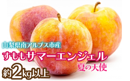 2026Ns\񁄂 T}[GWFuĂ̓Vgv2kgȏ ALPCZ009