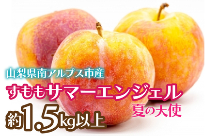 2026Ns\񁄂 T}[GWFuĂ̓Vgv1.5kgȏ ALPCZ010