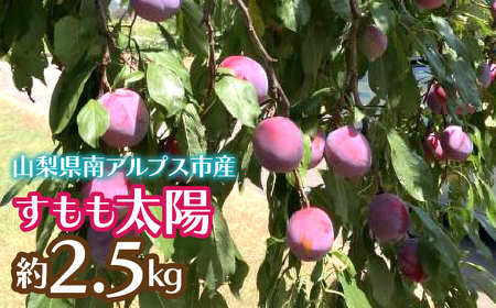 2026Ns\񁄂z 2.5kg ALPCZ011