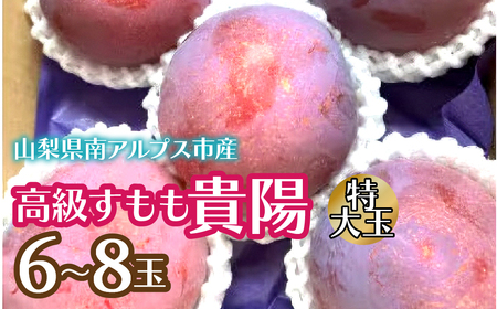 2026Ns\񁄍uMzv6`8 ALPCZ012