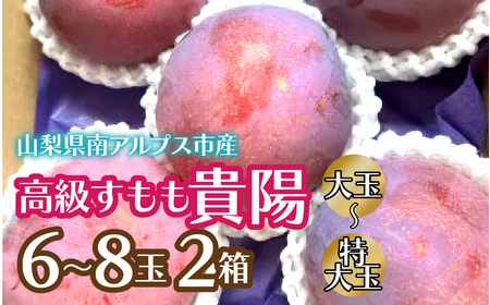 2026Ns\񁄍uMzv ʁ`6ʁ`8 2 ALPCZ013