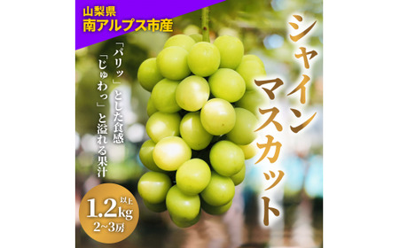 2026Ns\񁄒ǂVNILL嗱IJVC}XJbg ALPDY001