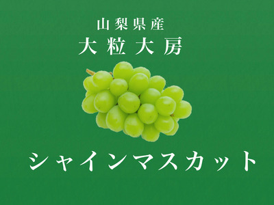 [2025年発送先行予約]大粒大房!山梨県産シャインマスカット 1房 AL