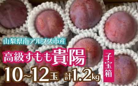 2026Ns\񁄂Mz(q)10`12(v1.2kg) ALPCZ018