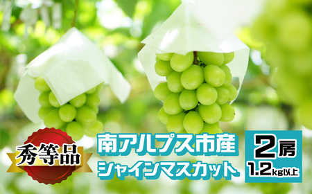 南アルプス市産 シャインマスカット 秀等品 1.2kg以上 (2房) ALPEV002 山梨 山梨県 ぶどう 葡萄 ブドウ マスカット 種なし フルーツ くだもの 果物 高級 新鮮 産地直送 贈答 ギフト 家庭用 2025年 秀等品 南アルプス市