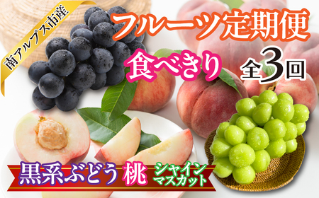 ★先行予約【食べきり】おいしいくだもの3回定期便〈くだもの　フルーツ　桃　巨峰　黒系ぶどう　シャインマスカット　新鮮　農家直送　産地直送　人気　山梨県　南アルプス市　〉ALPAJ057