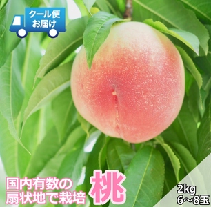 ＜2026年発送先行予約＞クール便 収穫当日に発送 【桃】2kg（6～8玉）ALPDG014