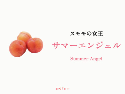 2026Ns\񁄁yET}[GWFzx͐HׂI͔|҂PԐlCI 24 ALPDS012